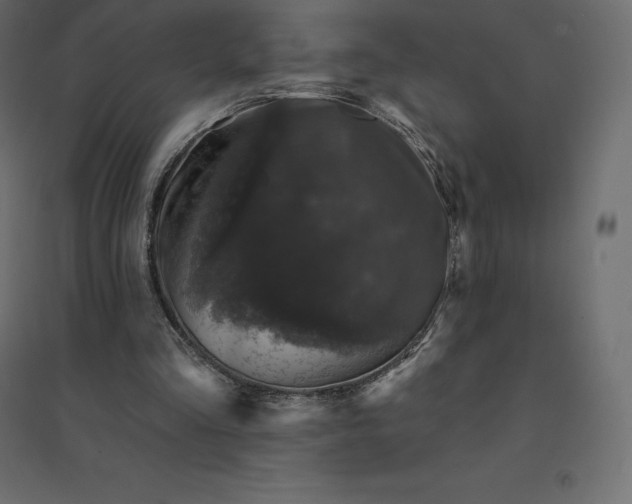 X0000094440293200711211502