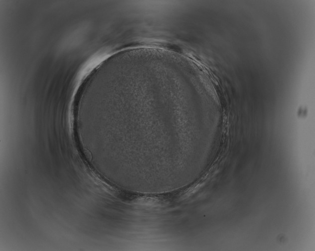 X0000094440294200711211502