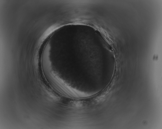 X0000094440295200711211502