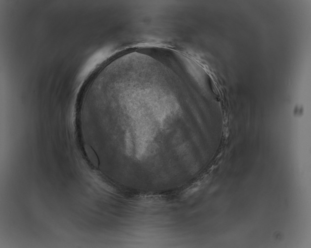 X0000094440296200711211502