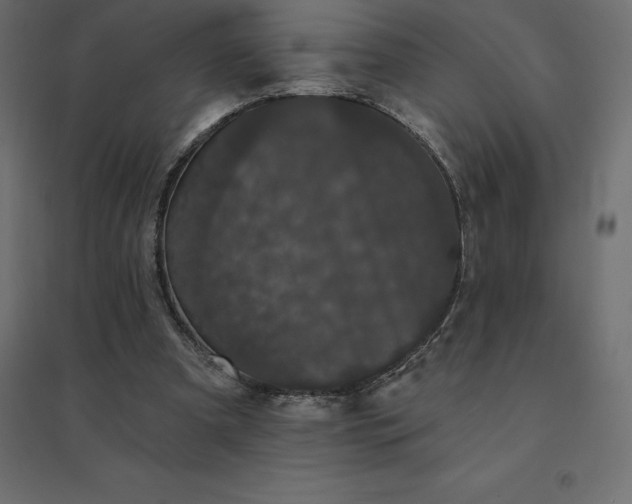 X0000094440297200711211502