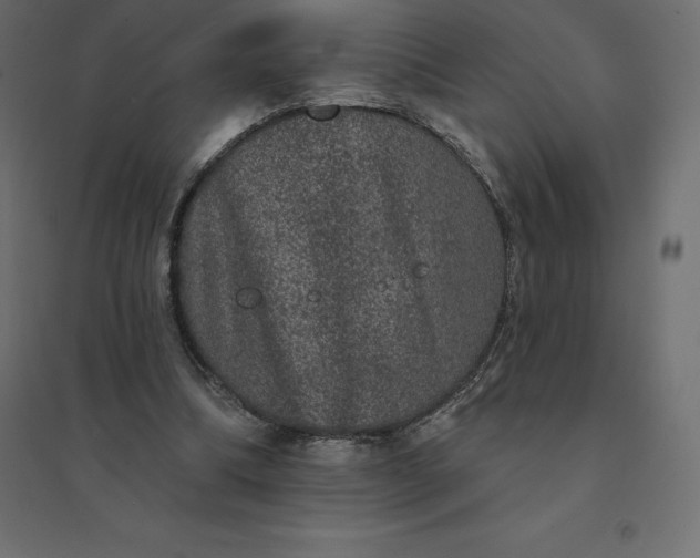 X0000094440298200711211502