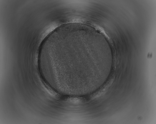 X0000094440299200711211502