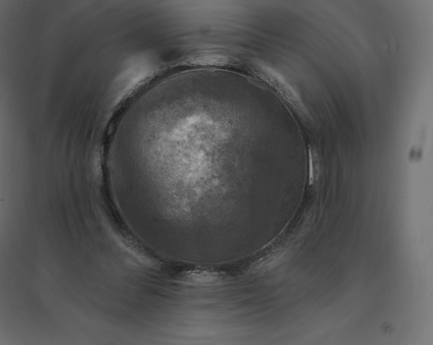 X0000094440300200711211502