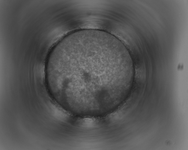 X0000094440302200711211502