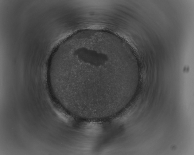 X0000094440303200711211502