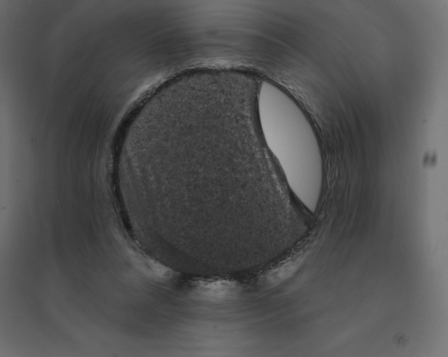 X0000094440304200711211502