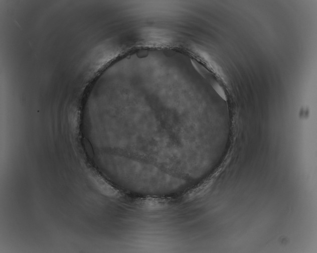 X0000094440305200711211502