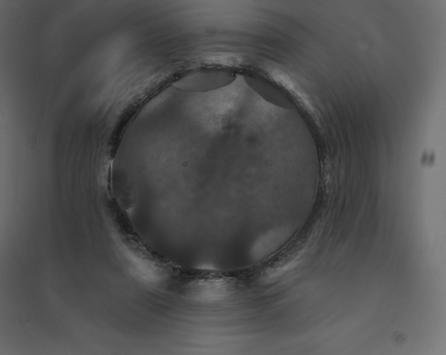 X0000094440307200711211502