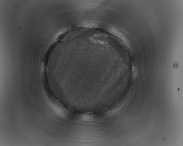 X0000094440308200711211502