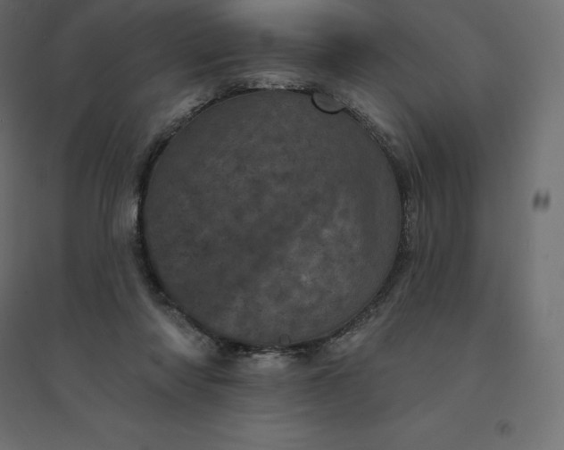 X0000094440310200711211502