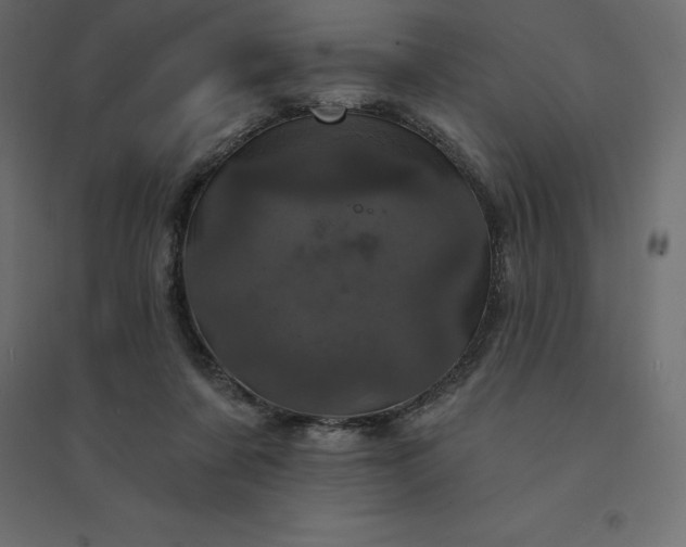 X0000094440311200711211502