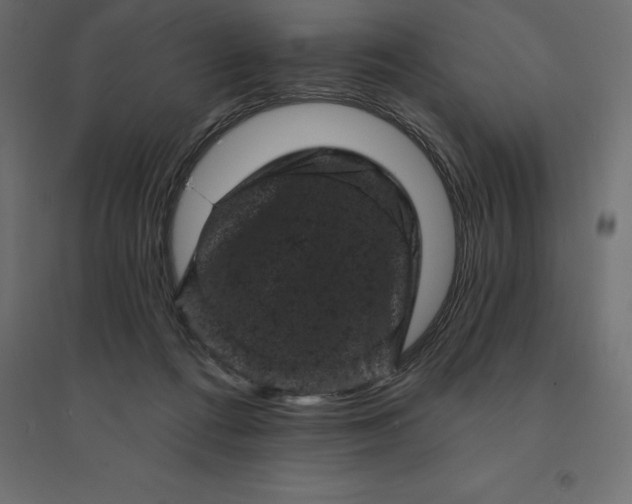 X0000094440312200711211502