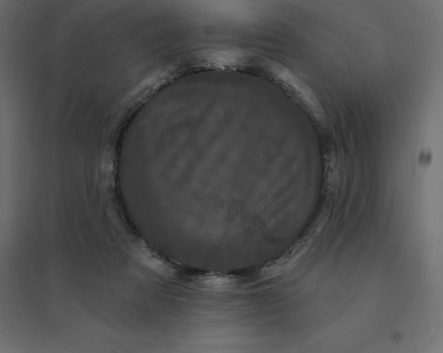 X0000094440313200711211502