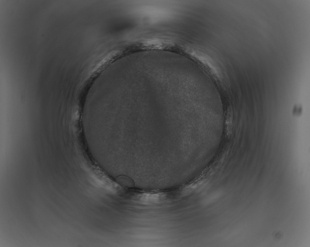 X0000094440314200711211502