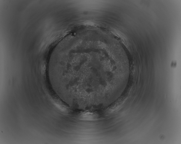 X0000094440315200711211502