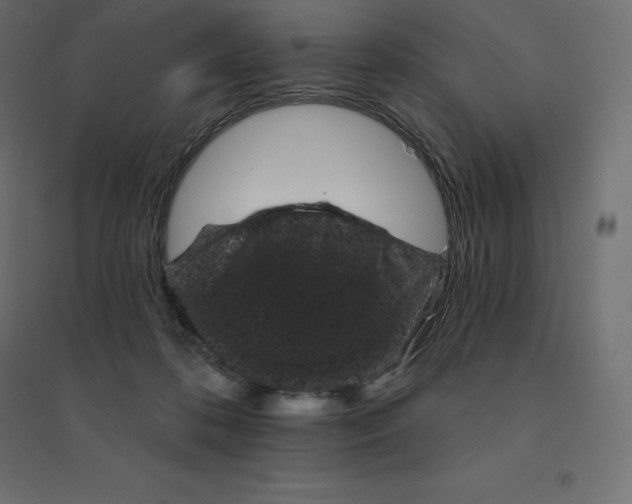 X0000094440316200711211502