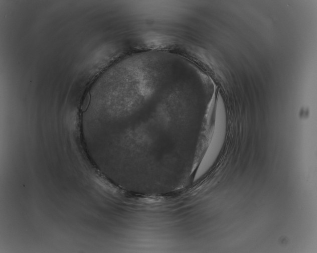 X0000094440317200711211502