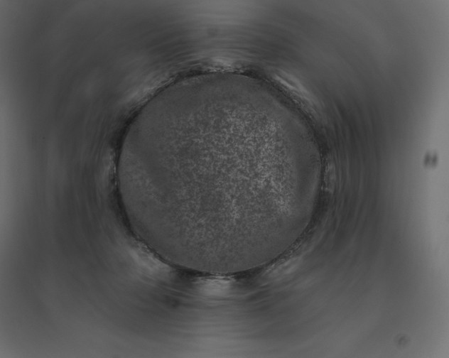 X0000094440318200711211502