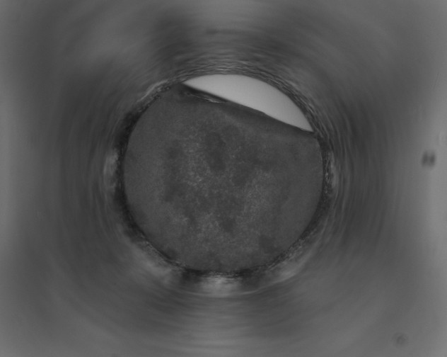 X0000094440319200711211502