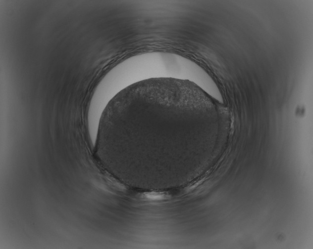 X0000094440320200711211502