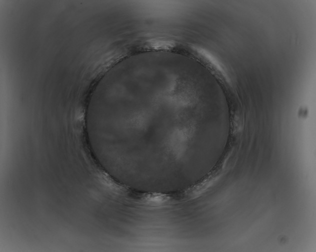 X0000094440321200711211502