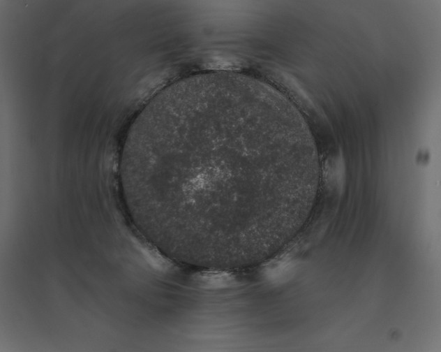 X0000094440322200711211502