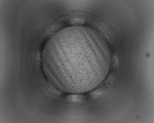 X0000094440323200711211502