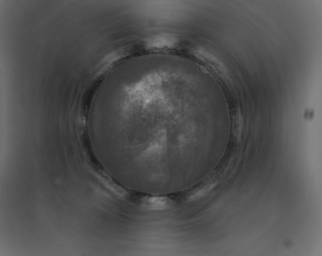 X0000094440324200711211502