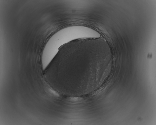 X0000094440325200711211502