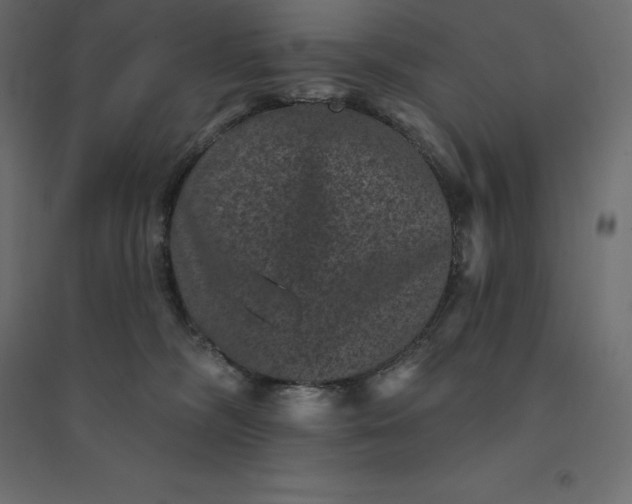 X0000094440326200711211502