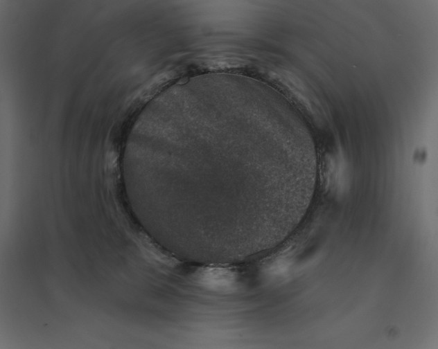 X0000094440327200711211502