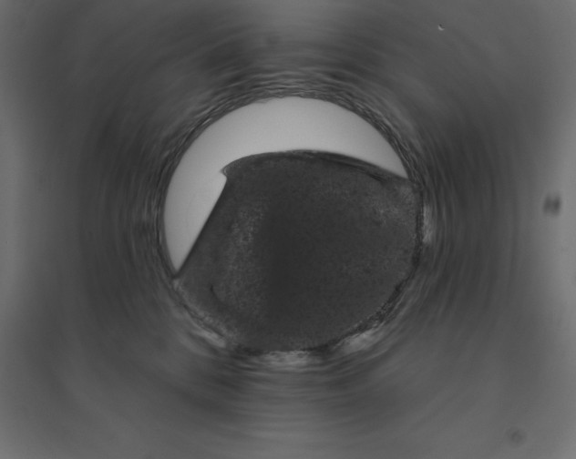 X0000094440328200711211502