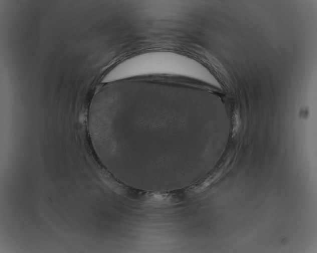 X0000094440329200711211502