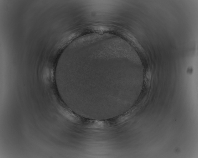 X0000094440330200711211502