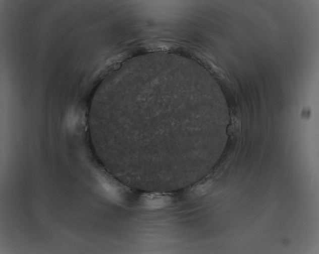 X0000094440331200711211502