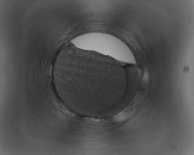 X0000094440332200711211501