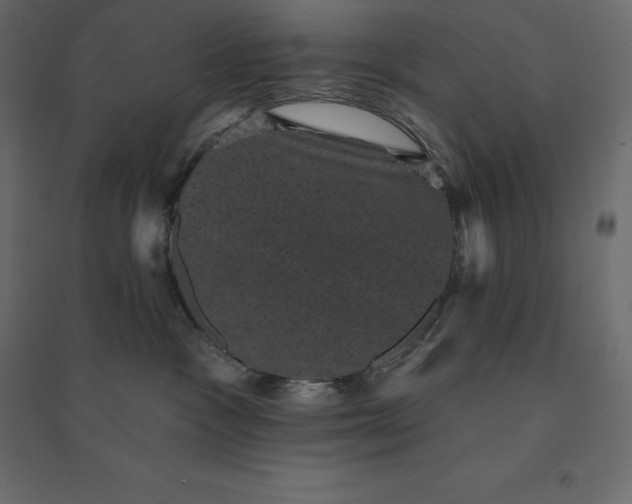 X0000094440333200711211501