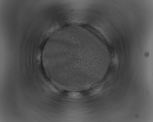 X0000094440334200711211501