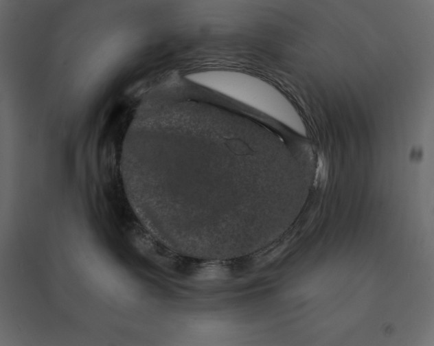 X0000094440335200711211501