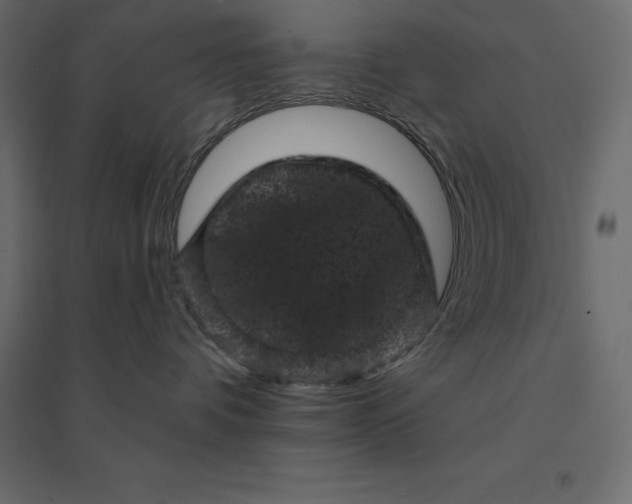 X0000094440336200711211501