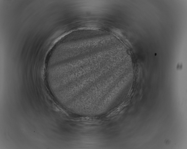 X0000094440338200711211501