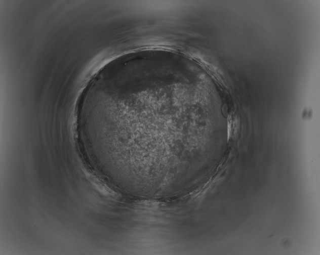 X0000094440339200711211501