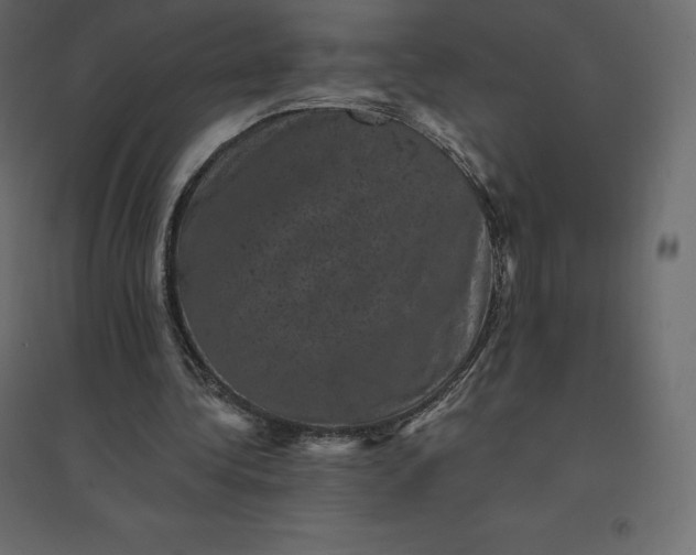 X0000094440340200711211501