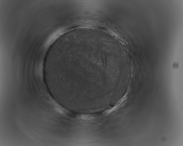 X0000094440341200711211501