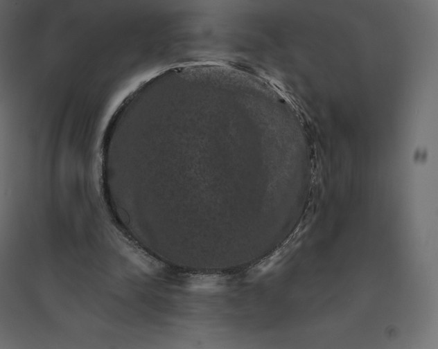 X0000094440342200711211501