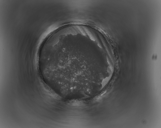 X0000094440343200711211501