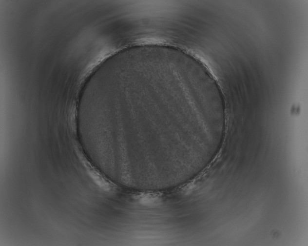 X0000094440345200711211501