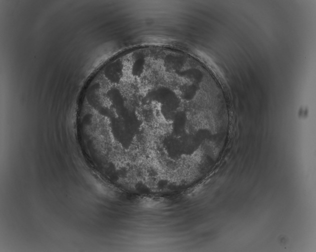 X0000094440346200711211501