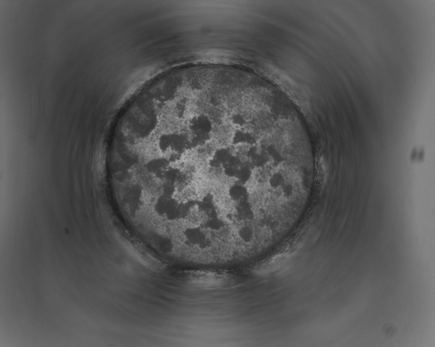 X0000094440347200711211501